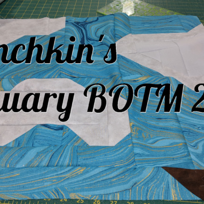 Munchkin's January Block of the Month